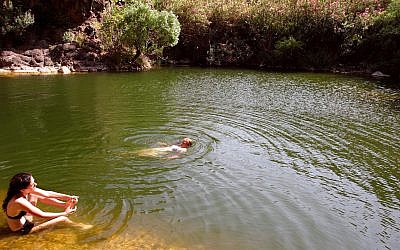 Des personnes nagent dans la rivière Zavitan, le 4 juillet 2006. (Crédit (Phil Sussman /Flash90/File)