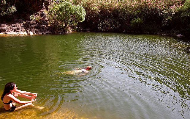 Des personnes nagent dans la rivière Zavitan, le 4 juillet 2006. (Crédit (Phil Sussman /Flash90/File) Des personnes nagent dans la rivière Zavitan, le 4 juillet 2006. (Crédit (Phil Sussman /Flash90/File)