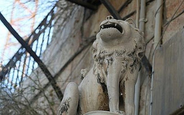 Lion de police avec la mâchoire intacte (Shmuel Bar-Am)