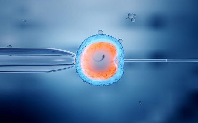 Fécondation in-vitro d'un ovule (Crédit :   iStock by Getty Images/ man_at_mouse)