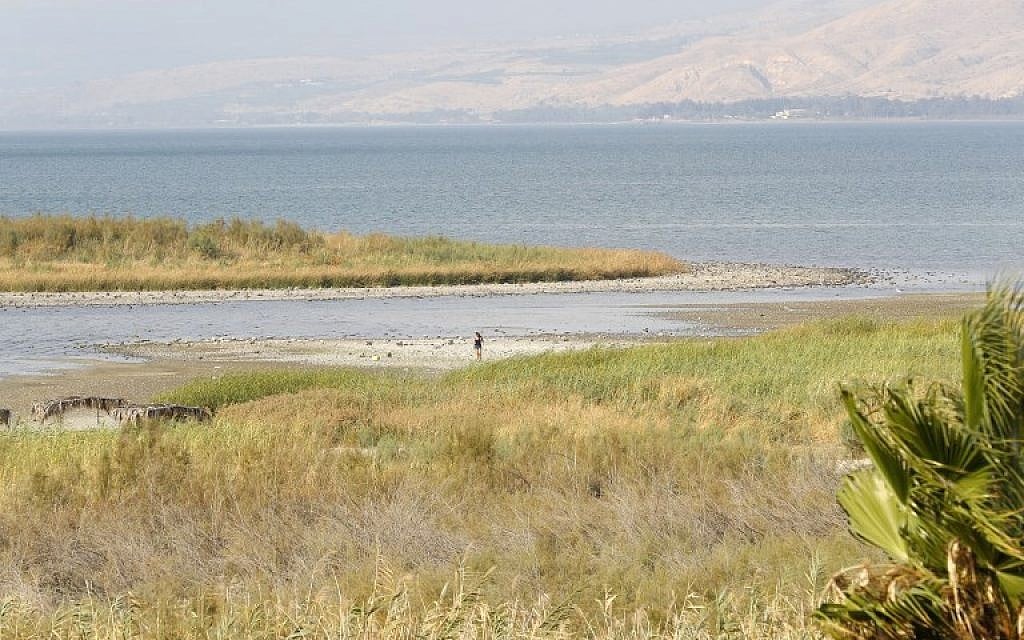 Photo prise le 8 octobre depuis le kibboutz Ein Guev. on voit une île dans le lac de Tibériade, qui est apparue à cause d'une baisse de niveau de l'eau, attribuée à une surexploitation des ressources. (Crédit : JACK GUEZ / AFP)