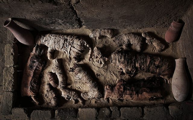 Des chats momifiés retrouvés dans une tombe des pyramides de Saqqara, le 10 novembre 2018. (Crédit : Nariman El-Mofty/AP) Des chats momifiés retrouvés dans une tombe des pyramides de Saqqara, le 10 novembre 2018. (Crédit : Nariman El-Mofty/AP)