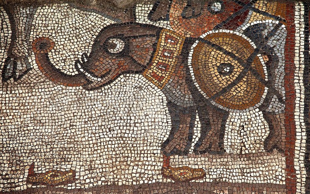 Une mosaïque représentant un éléphant de guerre, dans la synagogue de Huqoq. (Crédit :Jim Haberman)