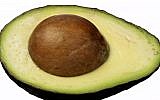 Illustration d'un avocat (Crédit: capture d'écran Omm!Tube/Youtube)