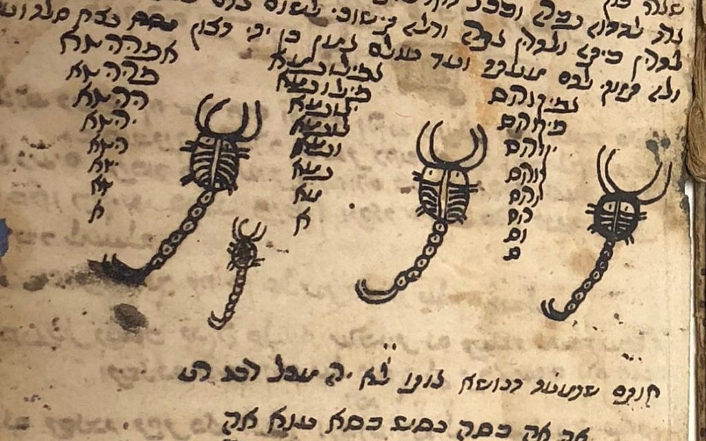 "L'écriture d'ange" et comment se débarrasser des scorpions dans un livre de sortilèges présents dans la valise noire mystérieuse qui avait été offerte au docteur Max Brodny à Moscou, en 1959 (Crédit : Amanda Borschel-Dan/Times of Israel) "L'écriture d'ange" et comment se débarrasser des scorpions dans un livre de sortilèges présents dans la valise noire mystérieuse qui avait été offerte au docteur Max Brodny à Moscou, en 1959 (Crédit : Amanda Borschel-Dan/Times of Israel)