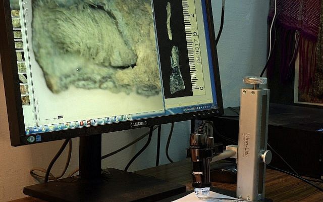 Une mèche de lin de l'ère byzantine. (Crédit : Clara Amit, Israel Antiquities Authority)