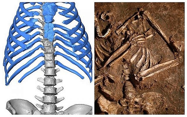 Côte-à-côte : le squelette de la cage thoracique modélisé et l'original, vieux de 60 000 ans, découvert à Kebara, dans les montagnes du Carmel en 1983. (Crédit :A. Gómez-Olivencia, A. Barash and E. Been/J. Trueba/Madrid Scientific Films)