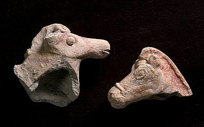 A gauche : Une figurine représentant un cheval vieille de 2800 ans découverte près de Beit Shean . A droite : Une autre figurine d'équidé ancienne de 2200 ans trouvée après les pluies à Tel Akko. (Crédit : Clara Amit, Autorité israélienne des antiquités)