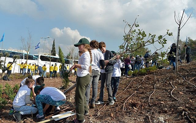 Des enfants israéliens plantent des arbres pour la fête juive de Tou Bichvat, à Haïfa, le 9 février 2017, dans une forêt du KKL-JNF. (Crédit : Yossi Zeliger/Flash90) Des enfants israéliens plantent des arbres pour la fête juive de Tou Bichvat, à Haïfa, le 9 février 2017, dans une forêt du KKL-JNF. (Crédit : Yossi Zeliger/Flash90)