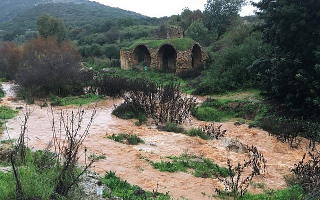 La rivière Zalmon, dans le nord d'Israël, déborde sous la pluie, le 9 janvier 2019 (Autorisation : Nadav Bartan/Autorité de la nature et des parcs) La rivière Zalmon, dans le nord d'Israël, déborde sous la pluie, le 9 janvier 2019 (Autorisation : Nadav Bartan/Autorité de la nature et des parcs)