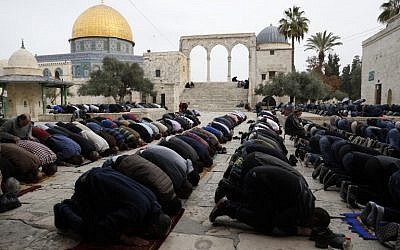 Des fidèles musulmans prient le vendredi midi près du sanctuaire du Dôme du Rocher dans l'enceinte de la mosquée al-Aqsa dans la Vieille Ville de Jérusalem, sur le Mont du Temple, 22 décembre 2017. (AFP Photo/Ahmad Gharabli)