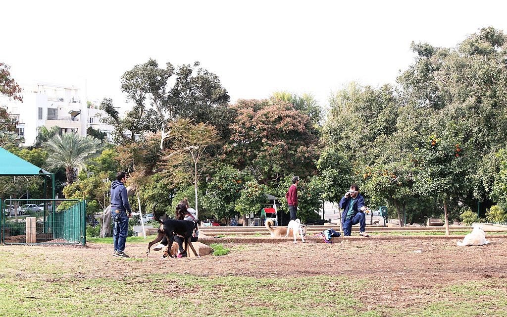 Le parc Shlomo Hamelech à Tel Aviv. (Shmuel Bar-Am)