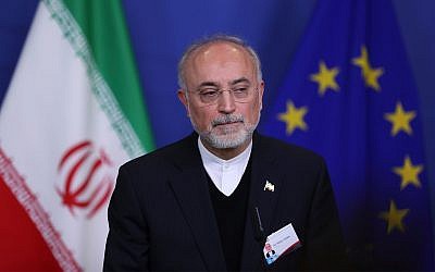 Le vice-président iranien et chef de l'Organisation de l'énergie atomique Ali Akbar Salehi écoute une question lors d'une conférence de presse conjointe avec Miguel Arias Canete, commissaire européen chargé de l'action pour le climat et de l'énergie, au siège de la Commission européenne à Bruxelles le lundi 26 novembre 2018. (AP Photo/Francisco Seco)
