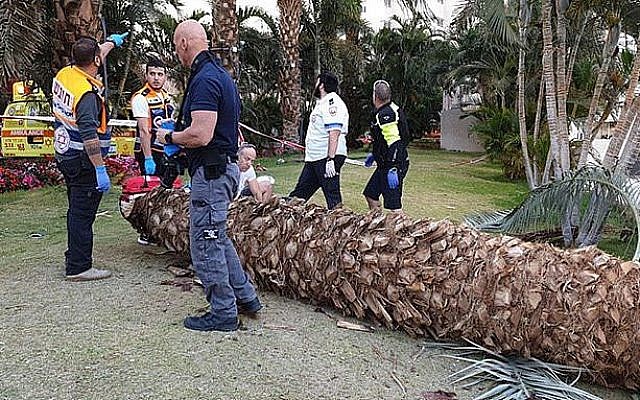 A Eilat, un arbre a été déraciné par de forts vents, le 30 mars 2019. (Magen David Adom)