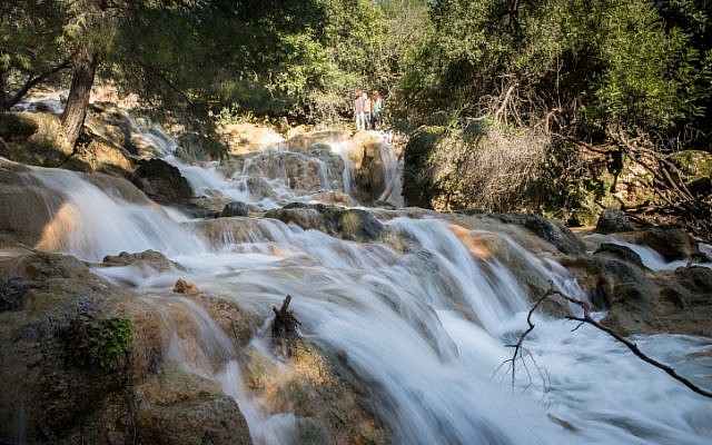 Les cascades Farod après des pluies en Galilée, le 19 janvier 2019. (Crédit : Hadas Parush/Flash90)