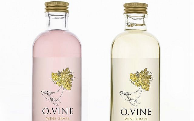 O.Vine , une eau vinifiée sans alcool et sans sucre, qui est produite à partir de marc et de graines de raisin par l'entreprise Wine Water et Practical Innovation. (Photo personnelle). O.Vine , une eau vinifiée sans alcool et sans sucre, qui est produite à partir de marc et de graines de raisin par l'entreprise Wine Water et Practical Innovation. (Photo personnelle).