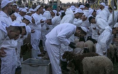 Les Samaritains font une prière sur les moutons et les chèvres qui seront tués lors du traditionnel sacrifice de la Pâque au mont Garizim, près de la ville de Naplouse, dans le nord de la Cisjordanie, le 18 avril 2019. (Jaafar Ashtiyeh / AFP)