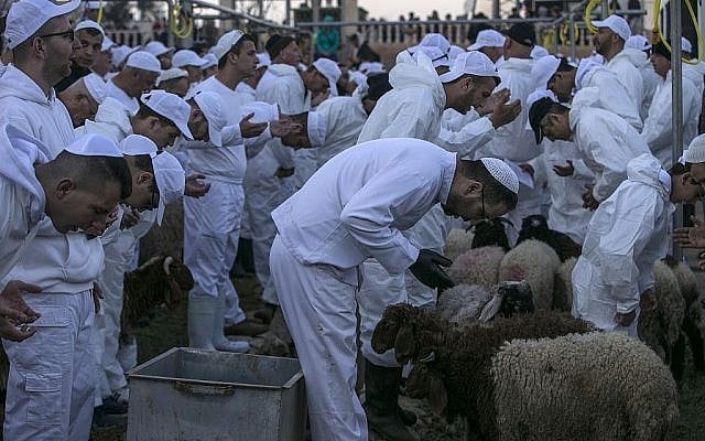 Les Samaritains font une prière sur les moutons et les chèvres qui seront tués lors du traditionnel sacrifice de la Pâque au mont Garizim, près de la ville de Naplouse, dans le nord de la Cisjordanie, le 18 avril 2019. (Jaafar Ashtiyeh / AFP) Les Samaritains font une prière sur les moutons et les chèvres qui seront tués lors du traditionnel sacrifice de la Pâque au mont Garizim, près de la ville de Naplouse, dans le nord de la Cisjordanie, le 18 avril 2019. (Jaafar Ashtiyeh / AFP)