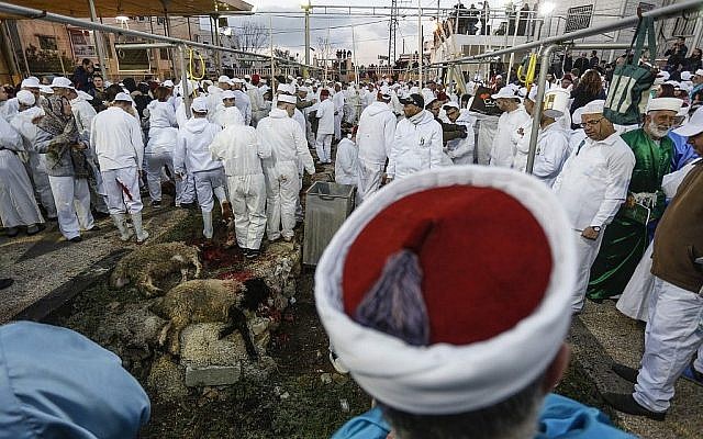 Des membres de la communauté samaritaine et des prêtres participent au traditionnel sacrifice de la Pâque au mont Garizim, près de la ville de Naplouse, dans le nord de la Cisjordanie, le 18 avril 2019. (Jaafar Ashtiyeh / AFP)