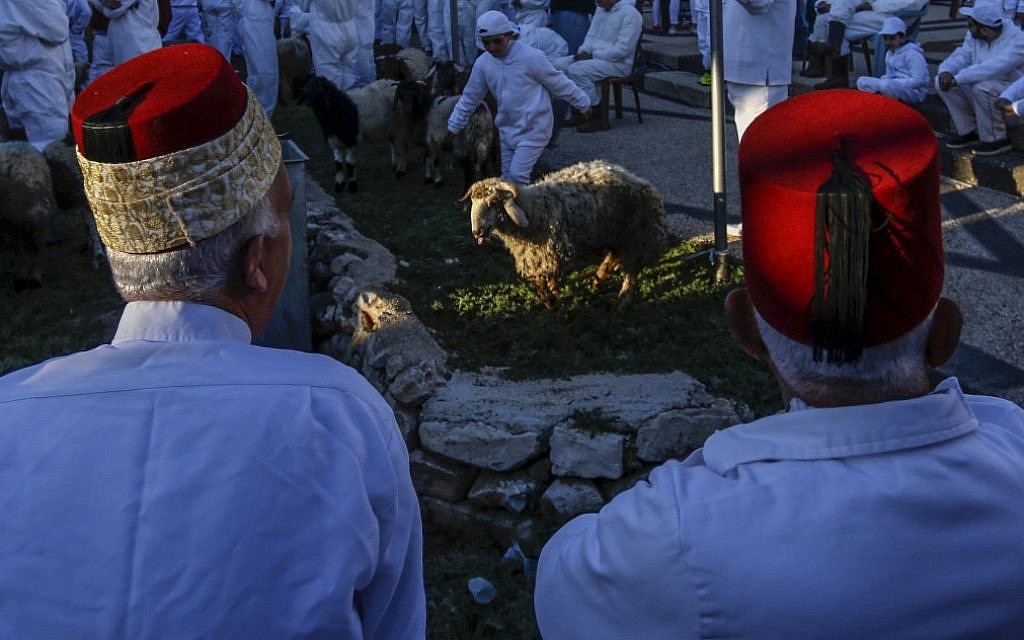 Les Samaritains prennent part au traditionnel sacrifice de la Pâque au mont Garizim, près de la ville de Naplouse, dans le nord de la Cisjordanie, le 18 avril 2019. (Jaafar Ashtiyeh / AFP)
