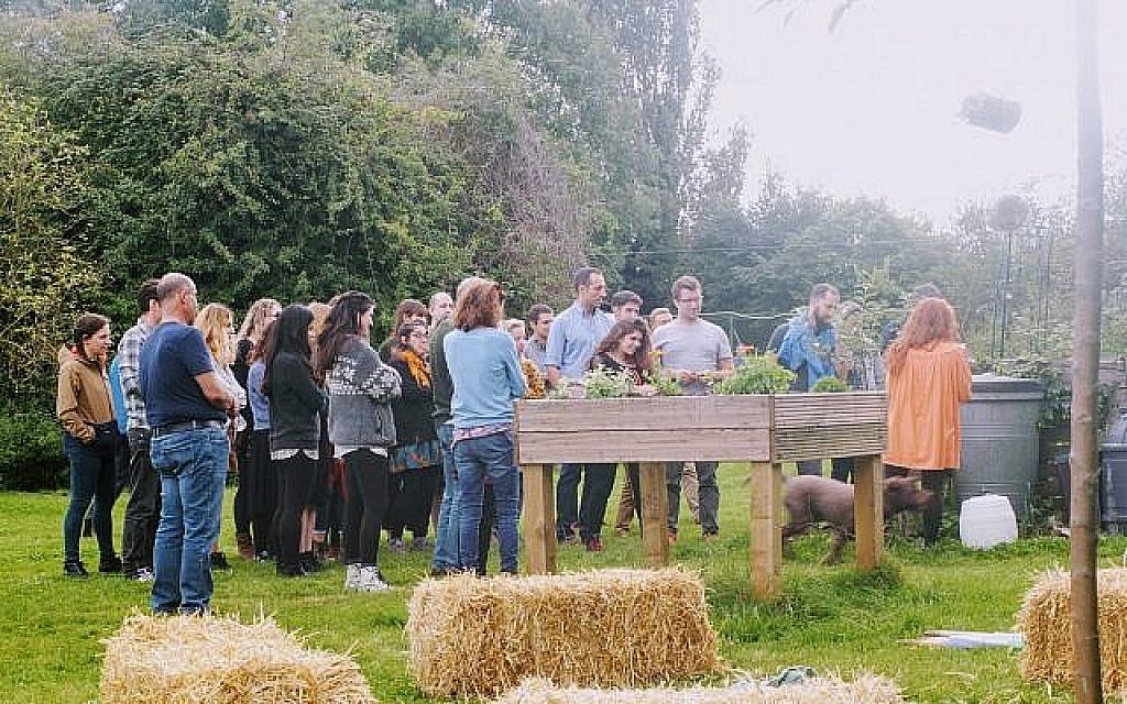 'Tout le monde vient ici. Nous sommes l'un des seuls lieux transcommunautaires qui existent ici', dit Talia Chain de la ferme exploitée par de Sadeh à Skeet Hill, aux abords de Londres (Autorisation)