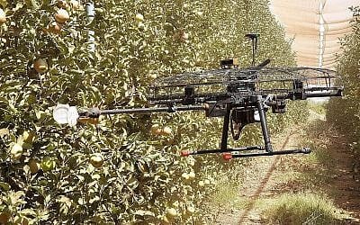 Tevel Aerobotics Technologies a développé un drone pour aider les agriculteurs à cueillir les fruits (Autorisation)