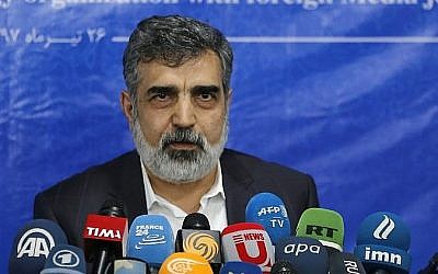 Behrouz Kamalvandi, porte-parole de l'Organisation iranienne de l'énergie atomique (AEOI), répond à la presse à Téhéran, le 17 juillet 2018. (Photo AFP / ATTA KENARE)