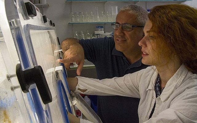 Le Dr. Ronen Hazan, à gauche, teste un échantillon dans les laboratoires du centre médical Hadassah et à l'université hébraïque de l'Ecole Jérusalem de médecine dentaire (Yaniv Berman/ Crédit: Autorité des Antiquités d'Israël)