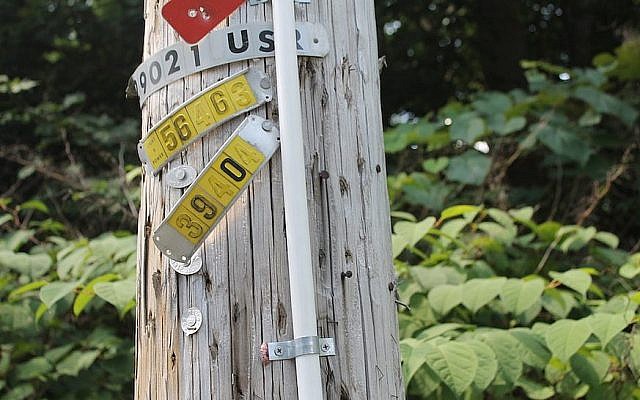 Un tube en PVC fixé à un pylône de téléphone dans la ville d'Upper Saddle River, dans le New Jersery, pour former un érouv, un clôture symbolique, permettant de porter dans l'espace public pendant Shabbat. (Crédit : Ben Sales via JTA)