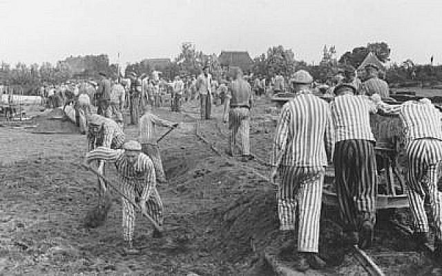 Des prisonniers pendant des travaux forcés, construisent le canal Dove-Elbe, en Allemagne, en 1941-42. (Crédit : US Holocaust Memorial Museum, autorisation de KZ-Gedenkstatte Neuengamme) Des prisonniers pendant des travaux forcés, construisent le canal Dove-Elbe, en Allemagne, en 1941-42. (Crédit : US Holocaust Memorial Museum, autorisation de KZ-Gedenkstatte Neuengamme)