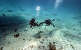 Des plongeurs au large de la ville balnéaire de Hurghada, sur la côte égyptienne de la mer Rouge, le 4 avril 2019. (Crédit : Mohamed el-Shahed / AFP)