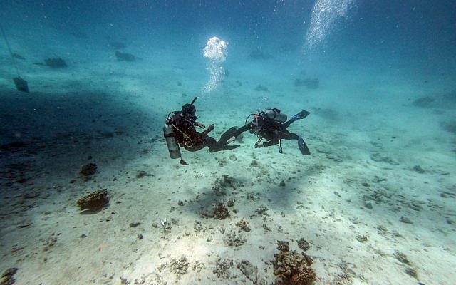 Des plongeurs au large de la ville balnéaire de Hurghada, sur la côte égyptienne de la mer Rouge, le 4 avril 2019. (Crédit : Mohamed el-Shahed / AFP) Des plongeurs au large de la ville balnéaire de Hurghada, sur la côte égyptienne de la mer Rouge, le 4 avril 2019. (Crédit : Mohamed el-Shahed / AFP)