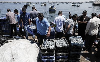 Des pêcheurs palestiniens déchargent la pêche du jour en Méditerranée, à Gaza City, le 18 juin 2019. (Crédit : MAHMUD HAMS / AFP)