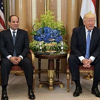 Le président américain Donald Trump, (à droite), et le président égyptien Abdel Fattah al-Sissi à Riyad, le 21 mai 2017. (AFP/MANDEL NGAN)