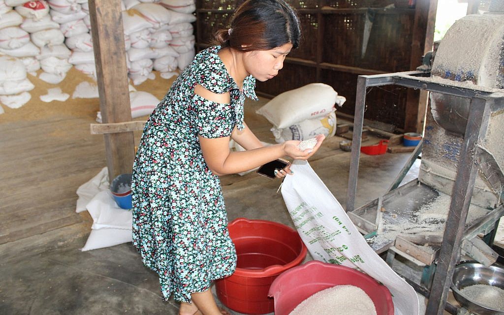 Zenan Sumlut examine du riz dans un moulin à riz qu'elle gère, à Kachin, en Birmanie. (Crédit : Emily Fishbein/Times of Israel) Zenan Sumlut examine du riz dans un moulin à riz qu'elle gère, à Kachin, en Birmanie. (Crédit : Emily Fishbein/Times of Israel)