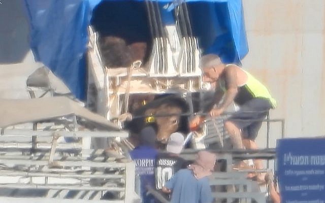 Les images publiées le 13 juin 2019 par le groupe Israël contre les transports d'animaux vivants montre des employés en train de faire sortir les animaux du bateau australien grâce à des aiguillons qui transmettent des chocs électriques, à Eilat. (Capture d'écran : Facebook) Les images publiées le 13 juin 2019 par le groupe Israël contre les transports d'animaux vivants montre des employés en train de faire sortir les animaux du bateau australien grâce à des aiguillons qui transmettent des chocs électriques, à Eilat. (Capture d'écran : Facebook)