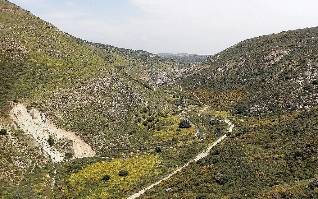 Fruticée, formation végétale transitoire où dominent des arbustes, des arbrisseaux et des sous-arbrisseaux, pouvant représenter un stade intermédiaire dans la succession de végétation qui conduit jusqu'à la constitution d'une forêt, à Nahal Dishon. Fruticée, formation végétale transitoire où dominent des arbustes, des arbrisseaux et des sous-arbrisseaux, pouvant représenter un stade intermédiaire dans la succession de végétation qui conduit jusqu'à la constitution d'une forêt, à Nahal Dishon.