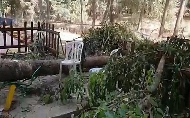 Capture d'écran d'une vidéo des lieux où une branche a chuté, tuant un petit garçon de 10 ans dans un parc de loisirs, après de Laschisch, le 17 juillet 2019 (Capture d'écran : Twitter) Capture d'écran d'une vidéo des lieux où une branche a chuté, tuant un petit garçon de 10 ans dans un parc de loisirs, après de Laschisch, le 17 juillet 2019 (Capture d'écran : Twitter)
