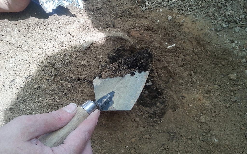 Un bénévole fait des fouilles à Khirbet a-Rai, que les archéologues ont identifié comme étant la ville biblique de Zikag (Crédit : Equipe des fouilles de Khirbet a-Rai)