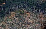 Une photo aérienne montrant une zone de déforestation dans la forêt amazonienne, à proximité d'un secteur affecté par les incendies, à 65 kilomètres environ de Porto Velho, dans le nord du Brésil, le 23 août 2019 (Crédit : CARL DE SOUZA / AFP)