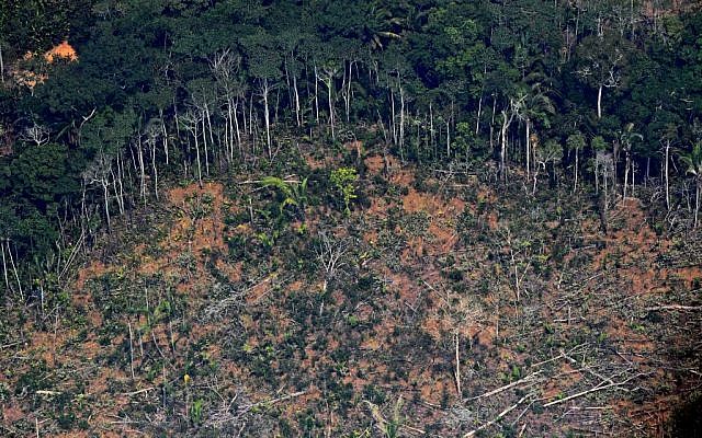 Une photo aérienne montrant une zone de déforestation dans la forêt amazonienne, à proximité d'un secteur affecté par les incendies, à 65 kilomètres environ de Porto Velho, dans le nord du Brésil, le 23 août 2019 (Crédit : CARL DE SOUZA / AFP)