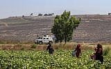 Photo d'illustration : Des agriculteurs travaillent dans la plaine de Marjayoun, à côté du village de Khiam, au sud du Liban, face à la ville israélienne de Metula, le long de la frontière avec Israël, le 26 aout 2019 (Crédit :  Mahmoud ZAYYAT / AFP)