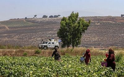Photo d'illustration : Des agriculteurs travaillent dans la plaine de Marjayoun, à côté du village de Khiam, au sud du Liban, face à la ville israélienne de Metula, le long de la frontière avec Israël, le 26 aout 2019 (Crédit :  Mahmoud ZAYYAT / AFP)