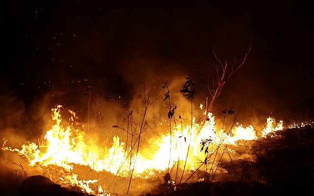 Un incendie sur une autoroute de Porto Velho, en Amazonie brésilienne,  le 25 août 2019. (Crédit : AFP /Leo Correa)