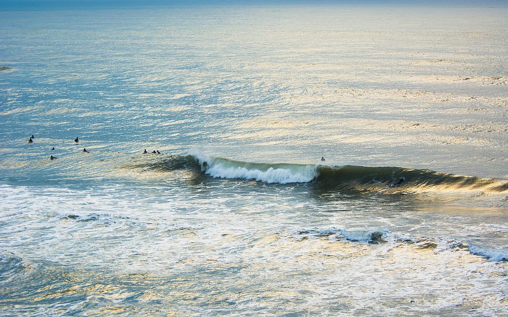 "Séance de surf en hiver" prise à la plage Tel Baruch, à Tel Aviv, en Israël (Crédit : Tal Paz-Fridman)