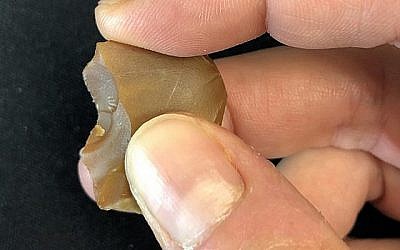Une minuscule écaille vieille de 500 000 ans du site de Revadim. (Dr. Flavia Venditti et Prof. Ran Barkai/Tel Aviv University)
