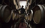 Des employés israéliens inspectent des fûts de vin dans le domaine viticole de Psagot en Cisjordanie, le 11 février 2014. (AP Photo/Dan Balilty)