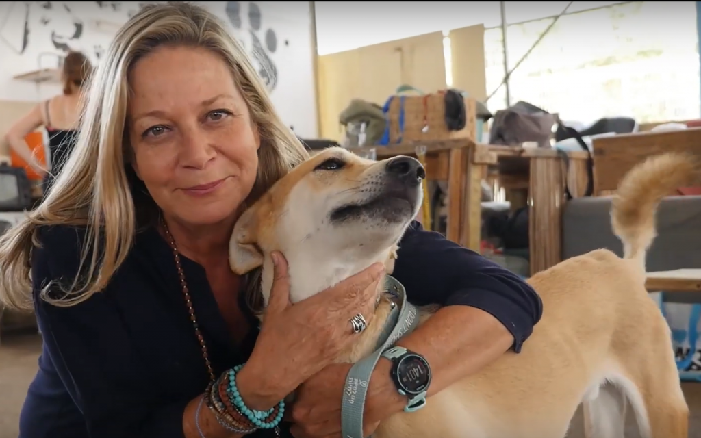 L'ex-présentatrice de télévision et défenseuse de l'environnement au sein de Kakhol lavan Miki Haimovich avec un chien de refuge, appellant les téléspectateurs à offrir à Shimi et à d'autres chiens un nouveau foyer. (Capture d'écran : YouTube)