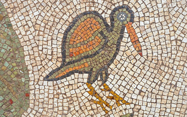 Mosaïques découvertes sur le sol de l'église byzantine de Ramat Beit Shemesh, octobre 2019. (Asaf Peretz, Autorité israélienne des Antiquités)