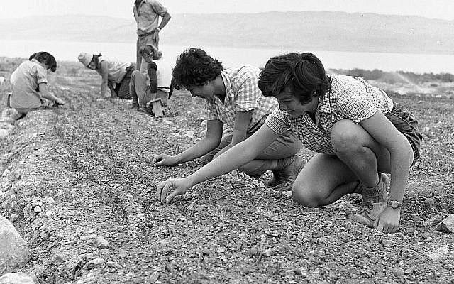 Des enfants lors d'un voyage à Ein Gedi et Massada, début des années 1950. (Efraim Ilani)